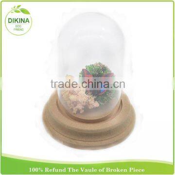 Bulk Buy From China Butterfly , Tillandsia Plants , Miniature Fairy Garden in 30cm Dome Clear Figurine Display Glass Cloche photo-5