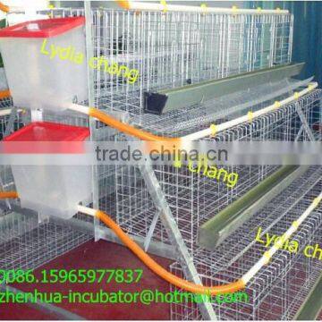 A type galvanized layer chicken Cage bird cage poultry cage with 5 doors/tier (whatsapp : +86 159 6597 7837)