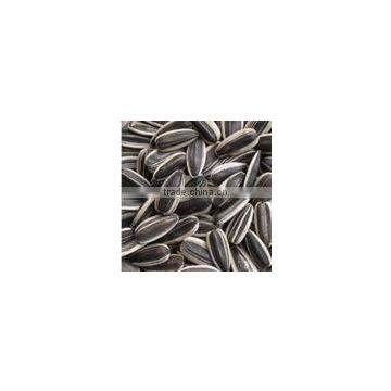 black sunflower seeds