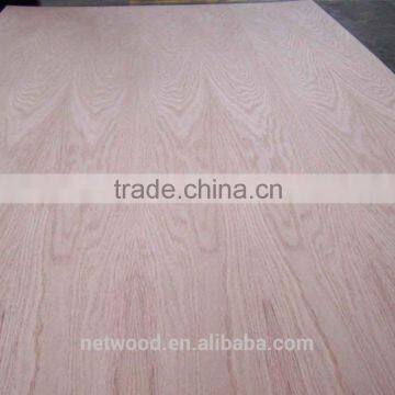 red oak plywood