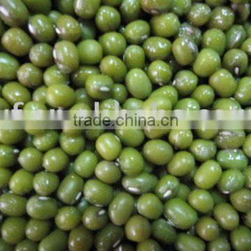 Green Mung Bean big size