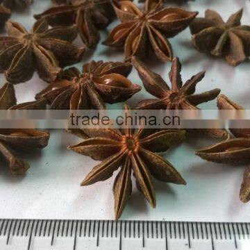 NATURAL Star Anise Vietnam Origin (website: hanfimex08/Viber/Whatsaap: +84965152844)