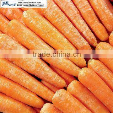 China export farm raised fresh carrot