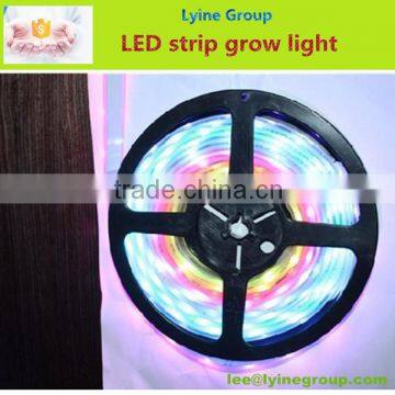 60 leds Outdoor waterproof led strip