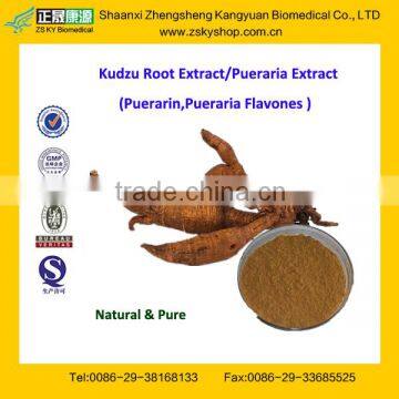 GMP Factory Supply Free Sample Pueraria Extract