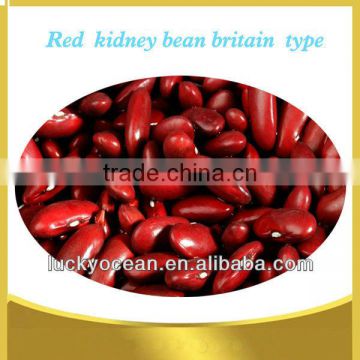 Red kidney beans(English type)