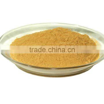 Ginkgo Leaf Extract ISO, GMP, HACCP, KOSHER, HALAL certificated