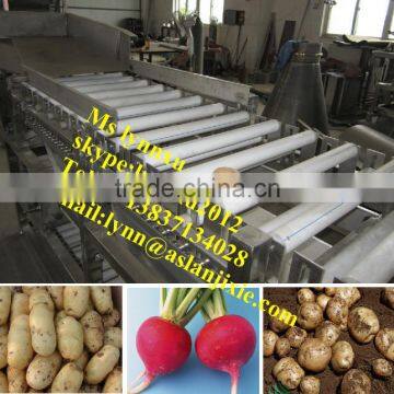 Hot Sale Potato Grading Machine photo-4