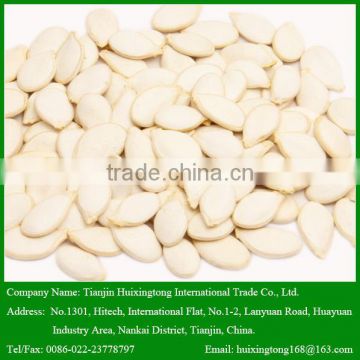 Salted Snow White Pumpkin Seeds with High Quality for Sale