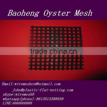Plastic Square Flat Mesh/Square Plastic Mesh(China Factory) photo-3
