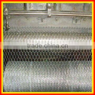 China alibaba galvanized Hexagonal wire mesh/chicken mesh/ hencoop mesh