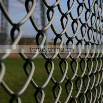 Galvanized Plus PVC Coated Decorative Garden Fence (ISO 9001 Certificated Factory)