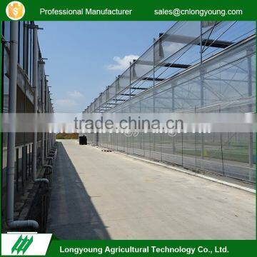 Latest style agriculture vegetable greenhouse glass panels