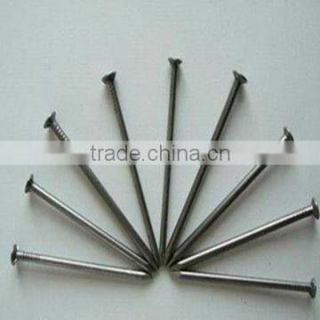 Manufacture Iron Common Nail/round Wire Nail photo-2