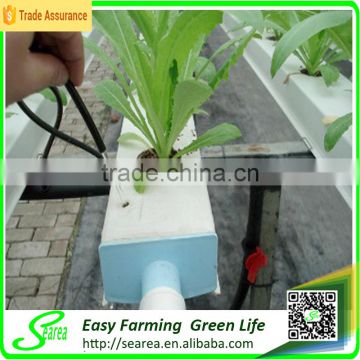 Low cost hydroponics pvc pipe