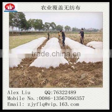 Welded PPSB Non Woven Fabric for Agriculture photo-3