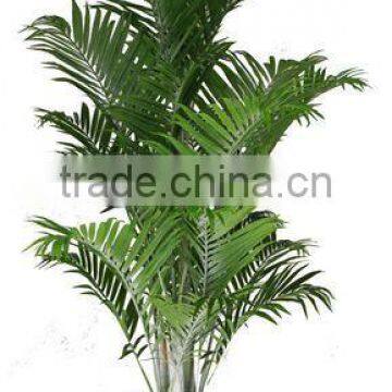 SJ12001161 artificial plastic mini palm tree artificial bonsai plant