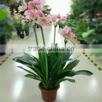 SJ300916 Artificial Indoor Decorative Bonsai Plant With Daffodils Flower photo-3