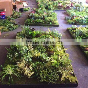 Home Garden Wedding Decoration 200cm*100cm Green Original Succulent With Moss Carpet Grass Wall E03 0501 photo-4