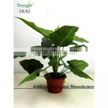 SAS201603 China Supplier Artificial Greenery Plant,Indoor Fake Ornamental Foliage Plant photo-2