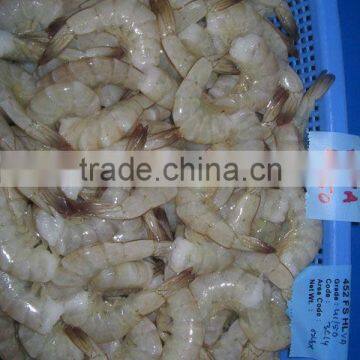 Frozen Shrimps HLSO