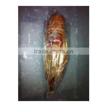 Panulirus Argus photo-2