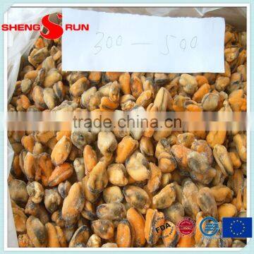 Frozen Boiled Mussel Meat photo-2