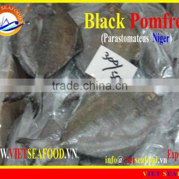 FROZEN BLACK POMFRET WHOLE ROUND
