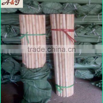 Natural Wooden Broom Stick With Italian Thread photo-6