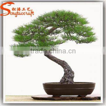 2015 Guangzhou Professional Supplier Make Artificial Pine Bonsai Tree for Sale photo-3