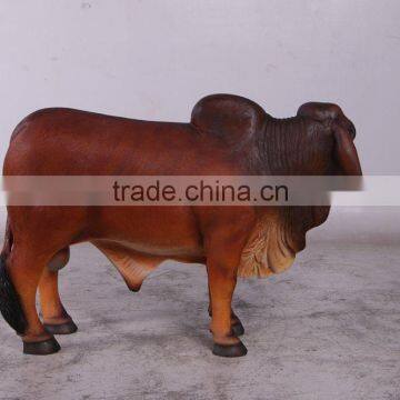 Definitive Brahman Looking Left photo-3