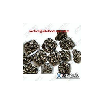 Stainless Steel Socket Screws 1.4541 photo-2