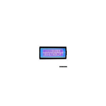 Graphic LCD Module