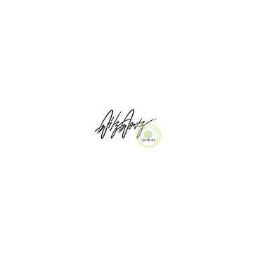 Custom Calligraphy Pre Inked Self Inking Stamp/Custom Name Signature Rubber Stamps