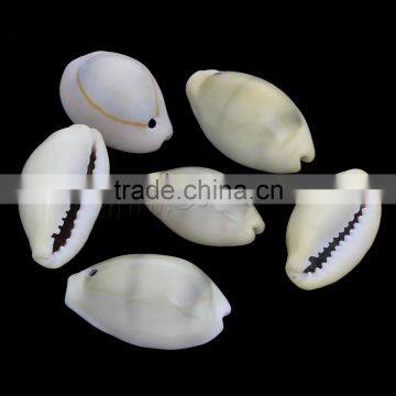 Trumpet Shell Cowry Shell Beads photo-3