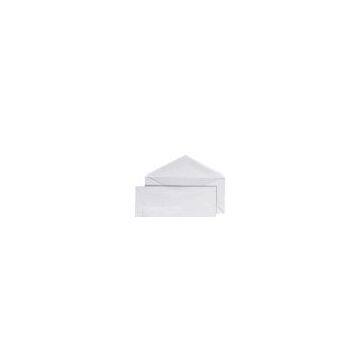 Sell 10# White Window Envelope