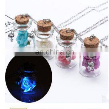 Vintage Luminous Glow In The Dark Rose Flower Pendant Necklace Fluorescent Glass Wish Bottle Chain Necklace