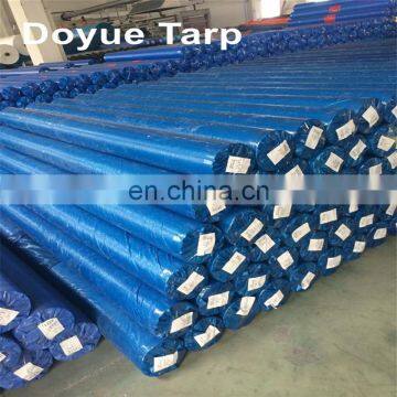 Fumigation waterproof PE Tarpaulin sheet for transportation