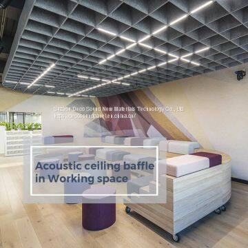 Acoustic Ceiling Baffle in Working Space