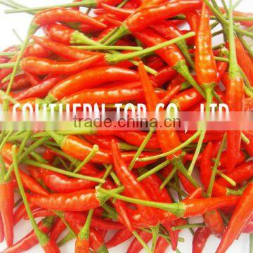 RED CHILLI