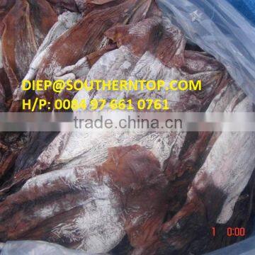 Dried Squid photo-4