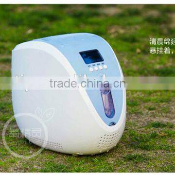 Portable Oxygen Concentrator Generator 90% Purity 1L/min 24Hr
