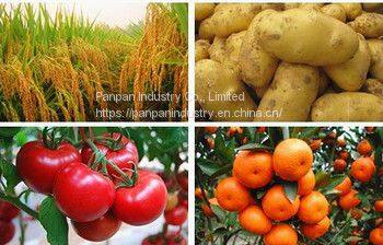 Hot Sale Pesticide Clothianidin Insecticid 50%wdg for Kill Pest Good Acaricide photo-2