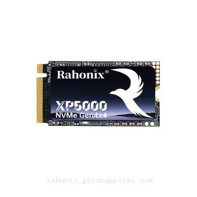 XP5000 Series M.2 NVMe 2242 PCIe4.0x4 SSD, read speed up to 5000MB/s