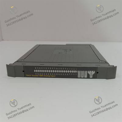 ICS TRIPLEX T8431 Analogue Input Module