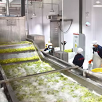 Automatic Frozen Fruit & Vegetable Processing Line Frozen Brocolli Carrot Cauliflower Production Line