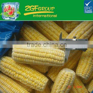 High Quality Frozen Whole Sweet Corn