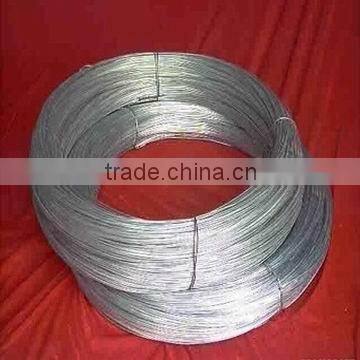 Electro Galvanized Wire photo-1