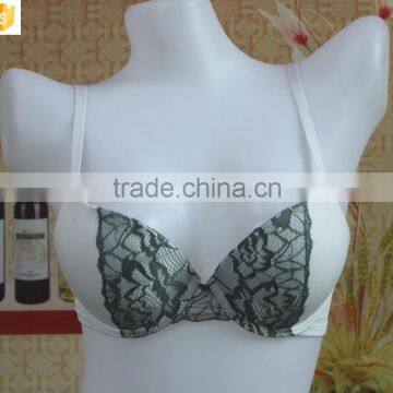 Microfiber Bras with Lace, Embroidery Lace Bra, Women Underwear