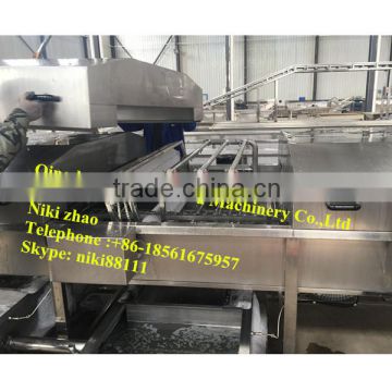 automatic plastic pallets /crates cleaning machine,pallet washer